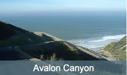Avalon Canyon
